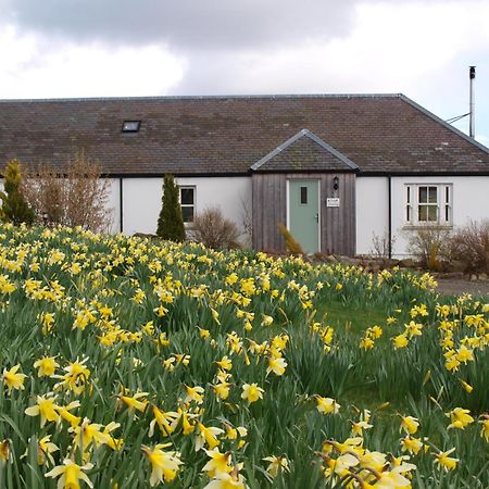 Dalnoid Cottages & Treehouses Nr Glenshee المظهر الخارجي الصورة