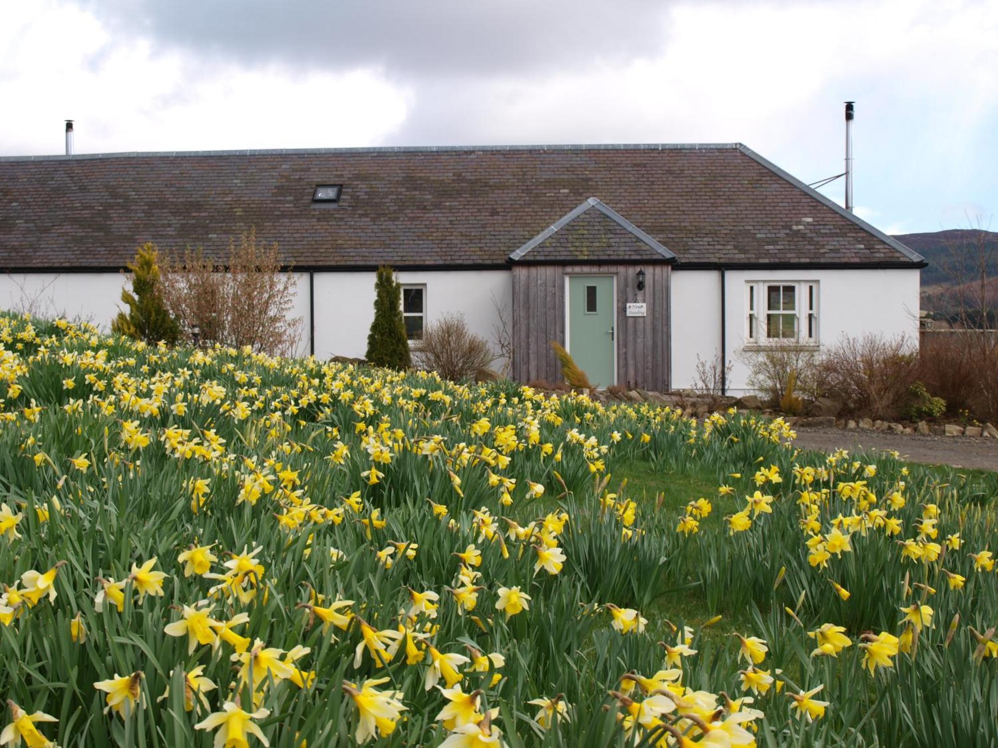Dalnoid Cottages & Treehouses Nr Glenshee المظهر الخارجي الصورة