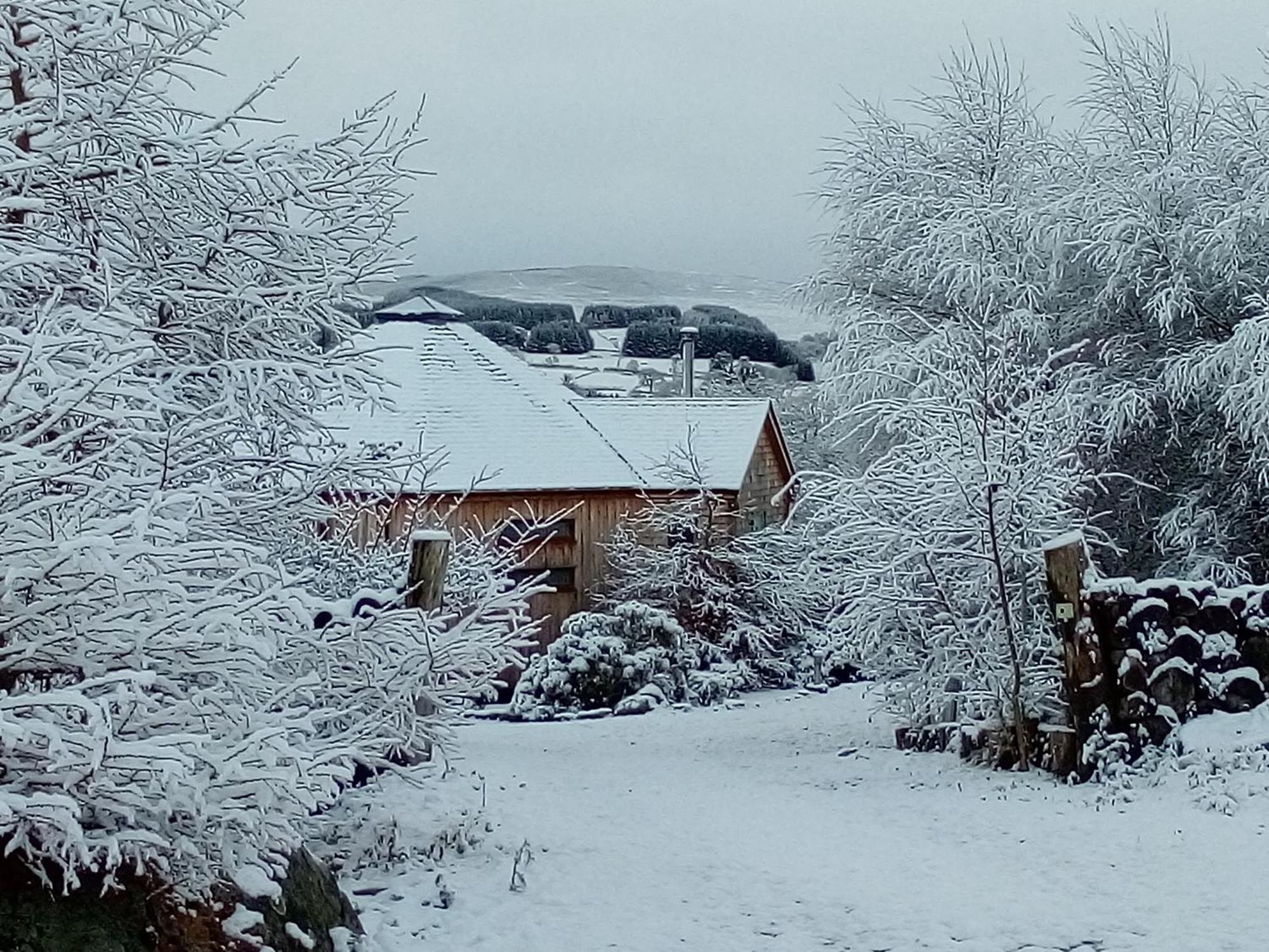 Dalnoid Cottages & Treehouses Nr Glenshee المظهر الخارجي الصورة